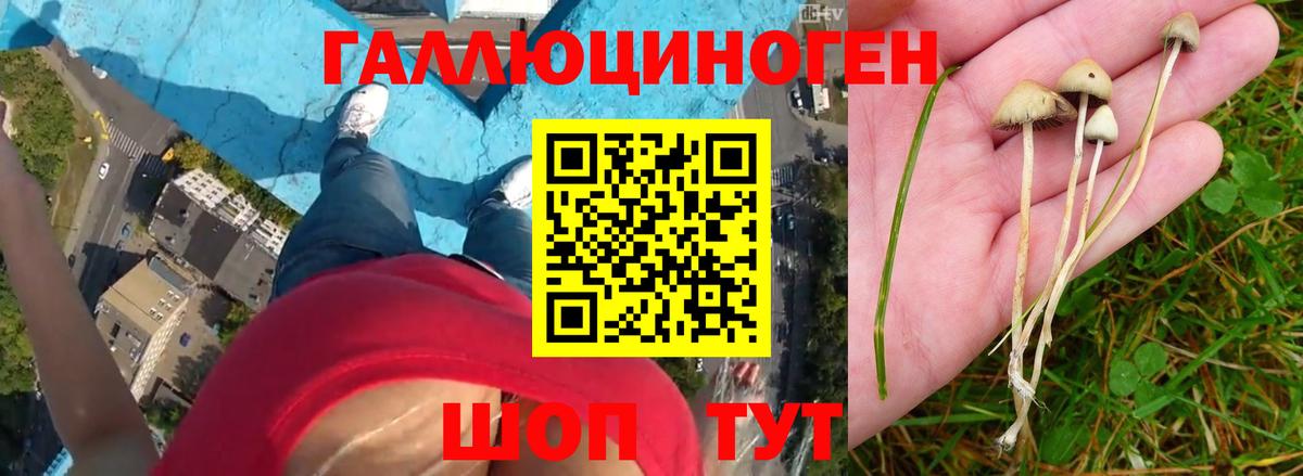Галлюциногенные грибы Magic Shrooms  Вход с VPN  Бахчисарай 
